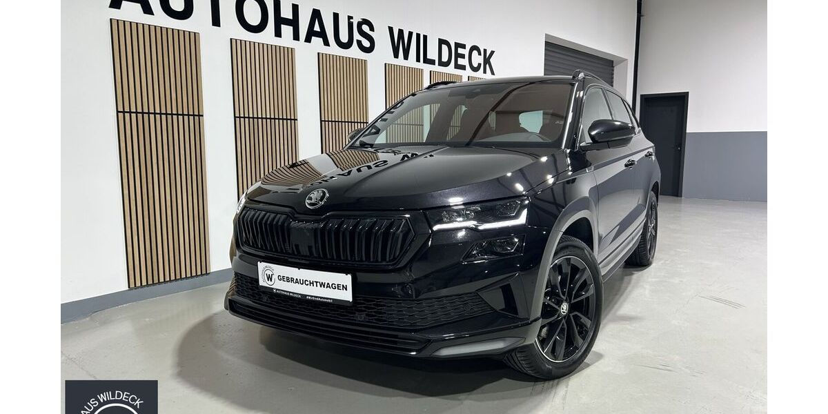 Skoda Karoq 97.200 km 29.990 &euro; Abstatt 74232