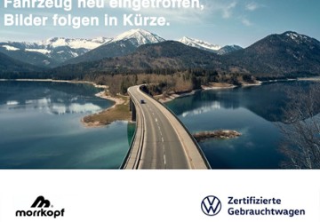 VW Golf 8.000 km 39.940 &euro; Weingarten 76356