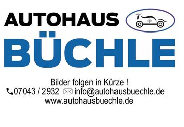 Ford Transit 17.000 km 31.580 &euro; Ölbronn 75248