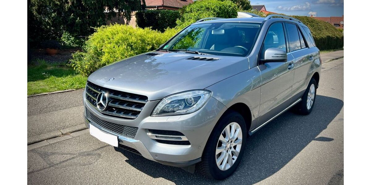 Mercedes-Benz ML 250 122.775 km 21.800 &euro; Kronau 76709