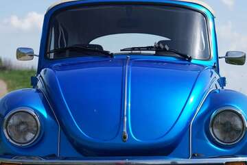 Gebrauchte VW Käfer