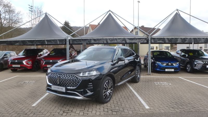 GWM Wey 05 5.500 km 57.490 &euro; Bammental 69245