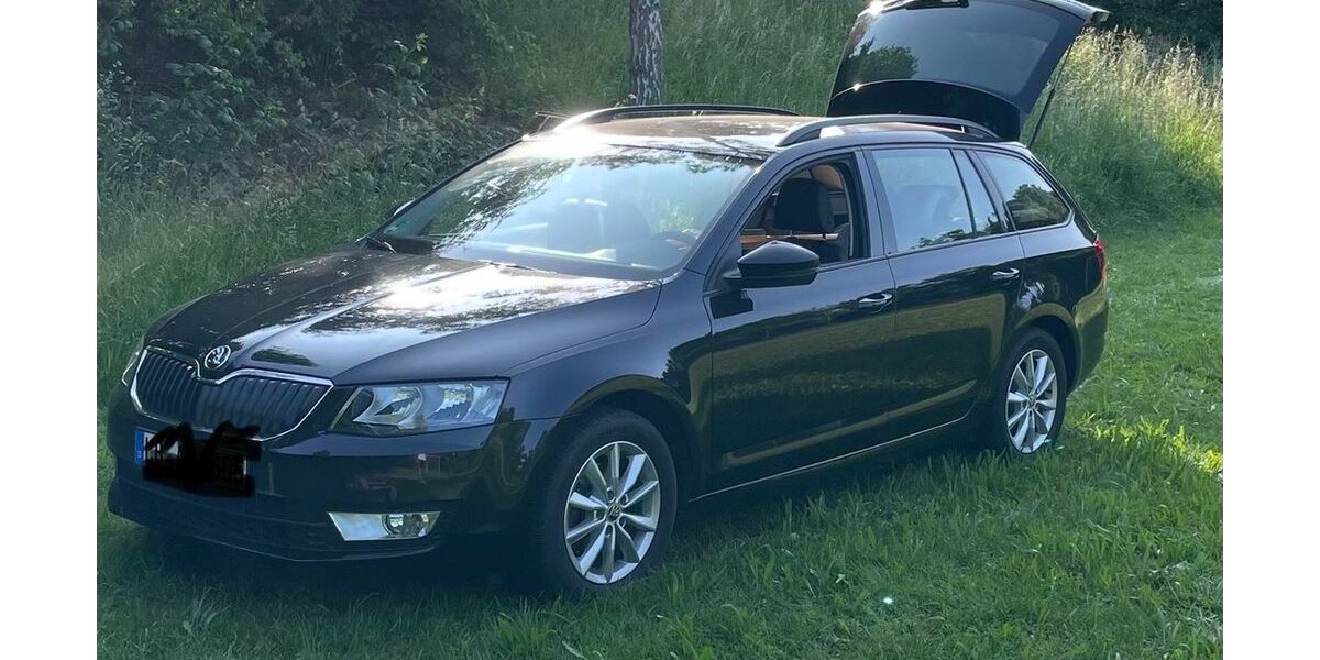 Skoda Octavia 165.000 km 11.700 &euro; Erligheim 74391