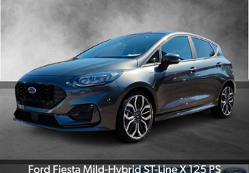 Ford Fiesta 9.900 km 19.990 &euro; Illingen - Schützingen 75428