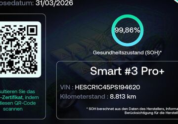 Smart #3 8.810 km 31.999 &euro; Bruchsal 76646